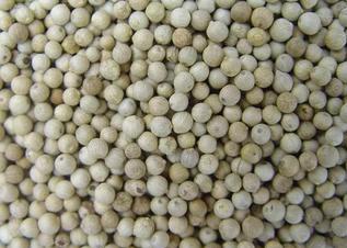 Whole White Pepper