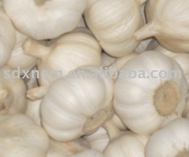 Pure white garlic,normal white garlic,all size,new crop!