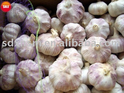 Normal white  garlic , all   size ,new crop,MOQ:1*40`FCL