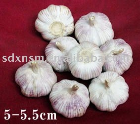 Fresh garlic,pure white garlic,normal white garlic,all size,new crop!
