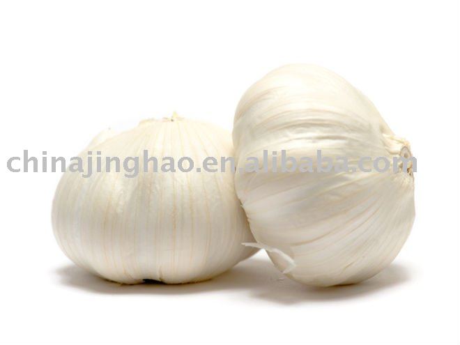  Shandong   Fresh   Garlic 
