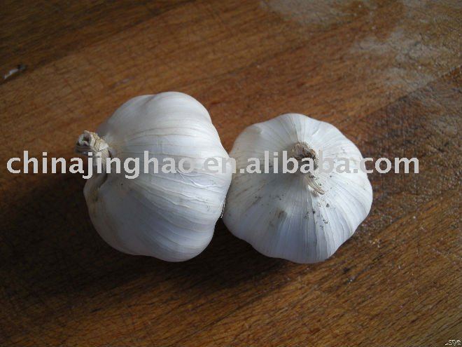Shandong Normal Fresh Garlic for Sales