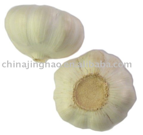 Shandong Fresh  Garlic
