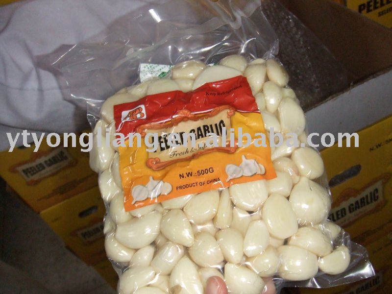 fresh garlic segment