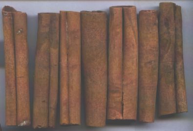  Cinnamon , Cassia   vera ,Casia  vera ,Kayu manis