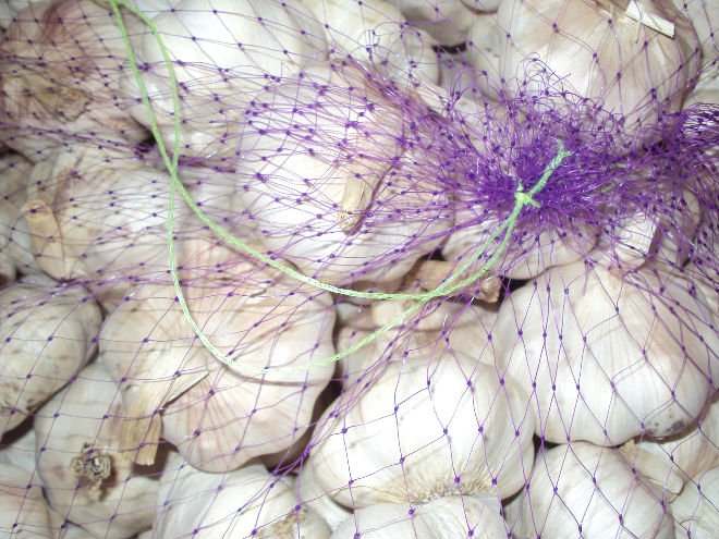 Pi Zhou 2010 Fresh Garlic