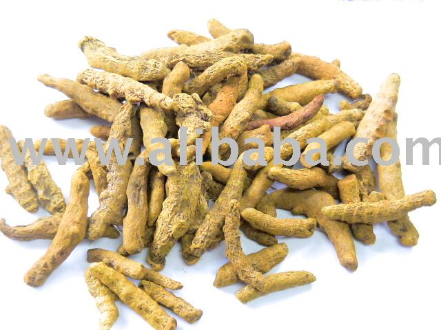 Turmeric Finger (Polished)