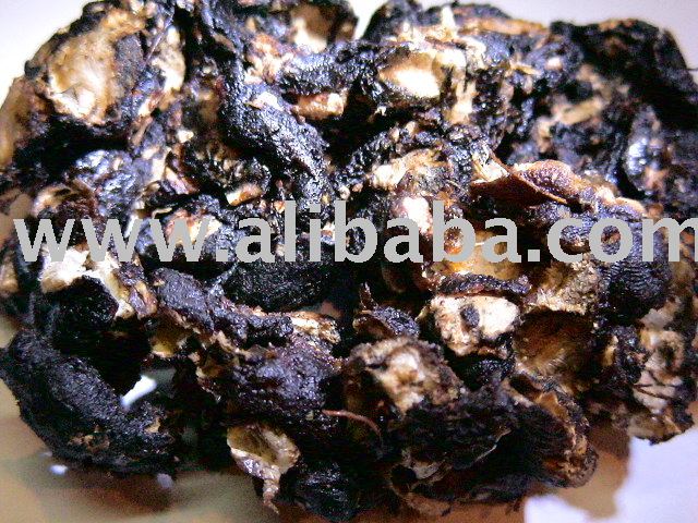  Tamarind  (With  Seed )