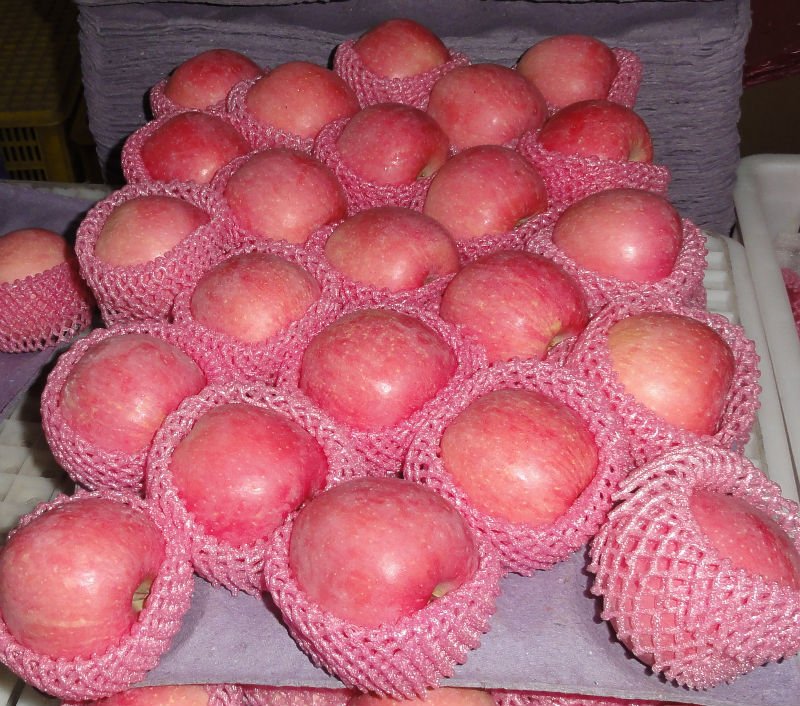 Red Fuji apple