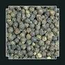 BLACK PEPPER