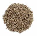  Cumin  Seed