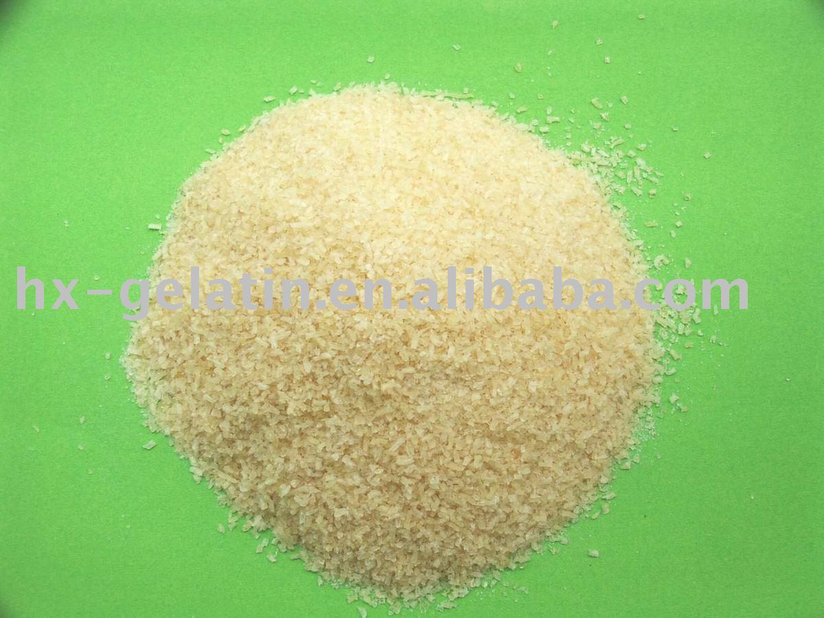 bovine  gelatin (40~260bloom) halal certificated