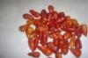 Pepper
