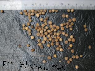 Sorbitol Liquid 70% Solution