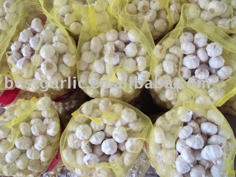 6.0cm white garlic 20kg/mesh bag