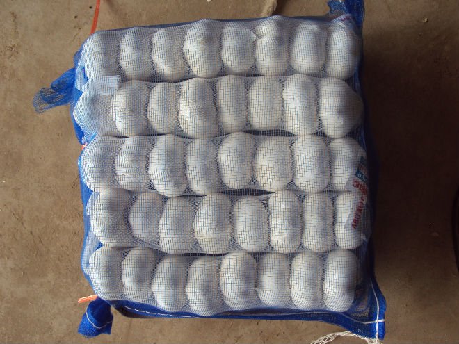  small   package   garlic 