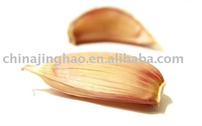 Best Farm Fresh Garlic from China 2010 in Low Price