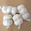 Jinxiang Normal White Garlic Top Grade