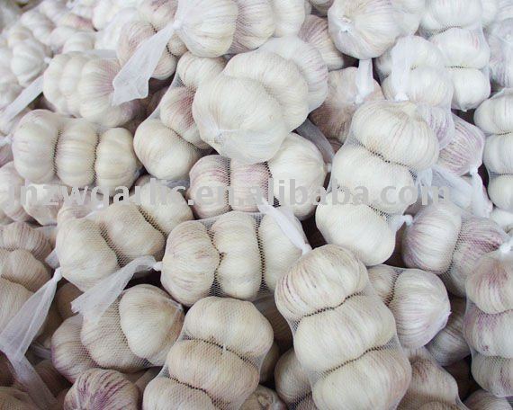 45mm good price chinese fresh  garlic alho