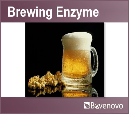 Ethanol Enzyme (Glucoamylase/Amylase)