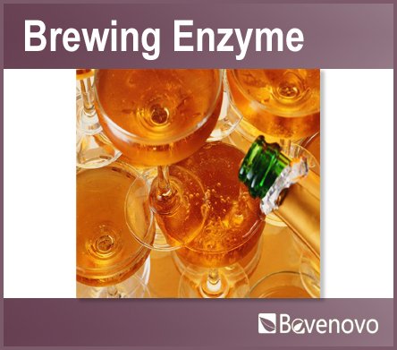 Brewing Enzyme (amylase,glucoamylase)