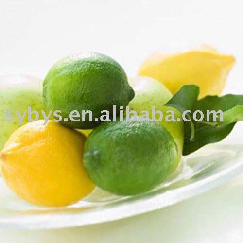 Citric  Acid   Anhydrous /CAA/77-92-9/ BP98 /BP93