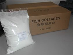 Fish collagen