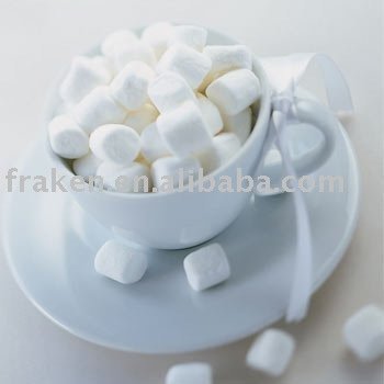 Maltose powder,China fraken price supplier - 21food