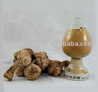  Agaricus   blazei   polysaccharide 