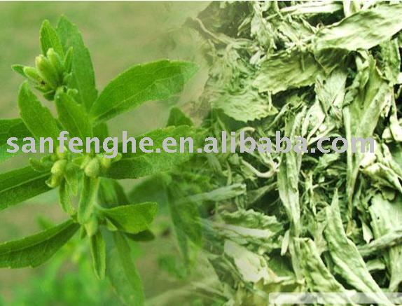  Natural   Stevioside  Extract