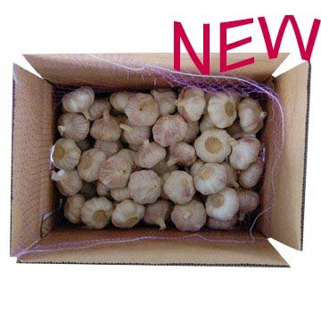 Allyl Heptanoate Fcc & Kosher
