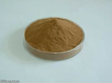 Angelica sinensis( Dong   Quai ) Extract 