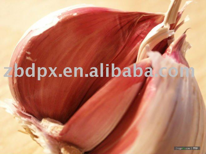 6cm fresh normal white garlic