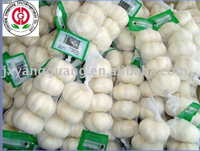 top quality fresh white garlic in mesh bags