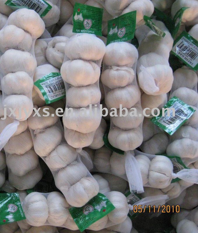 supply  shangdong  hot  garlic 