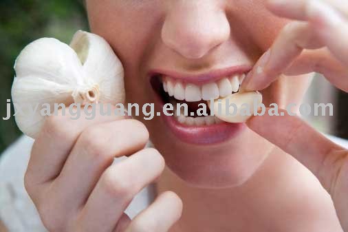 pure white garlic of high quality