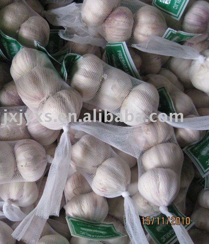 pizhou sell good garlic