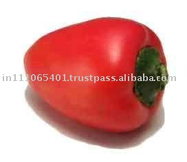 Pimento CO2 Extract