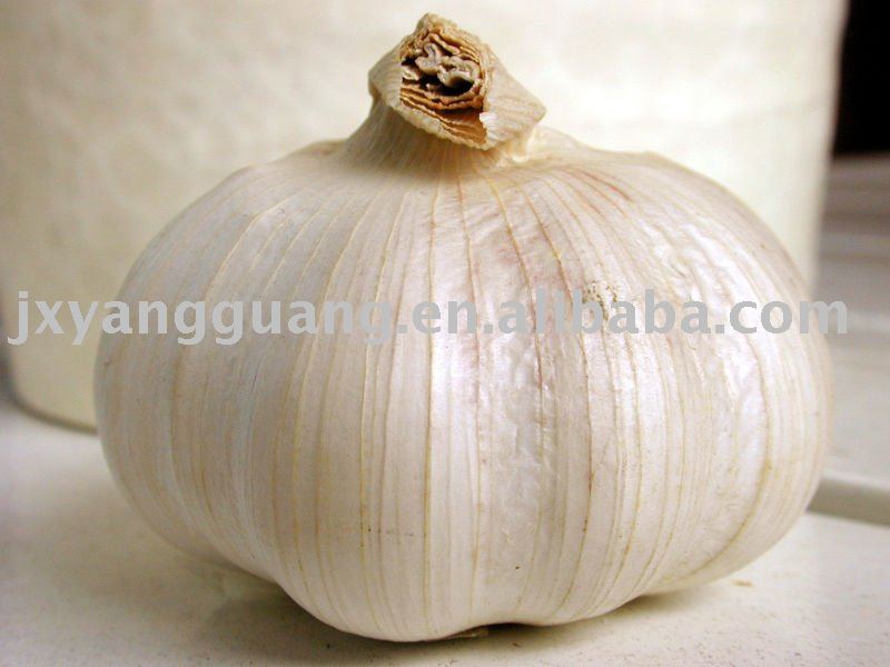 chinese fresh garlic of high quality