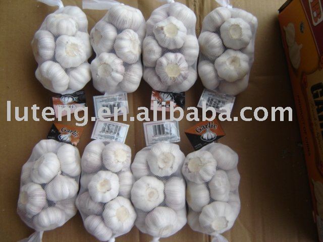 2010 new crop normal white garlic