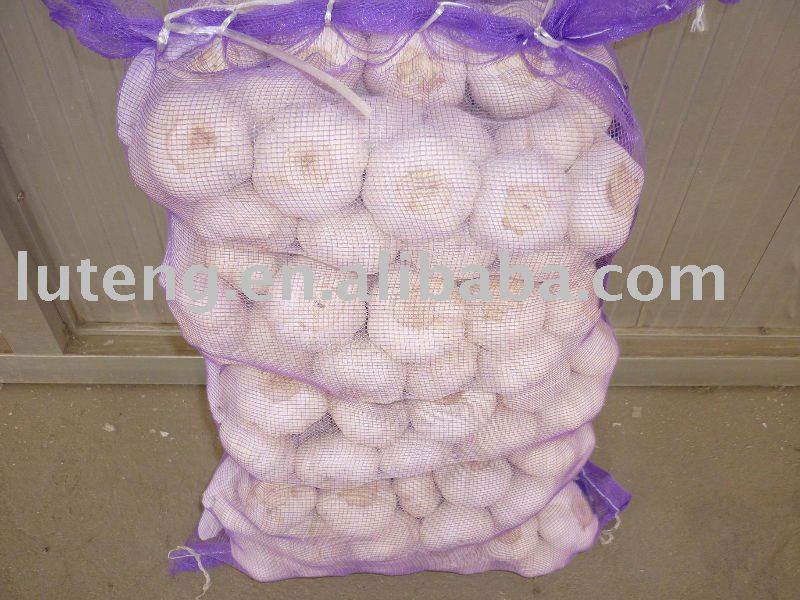 Fresh white  garlic  in  bag  packing