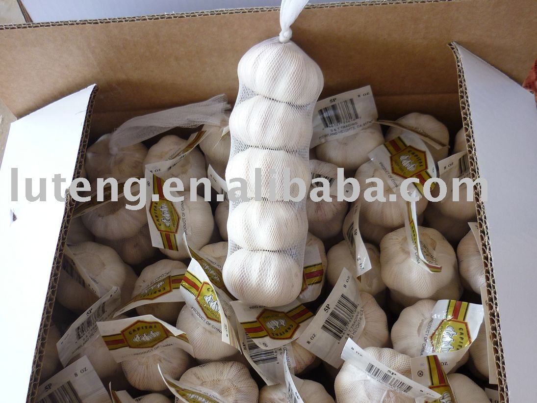 Fresh garlic(2010 new crop )