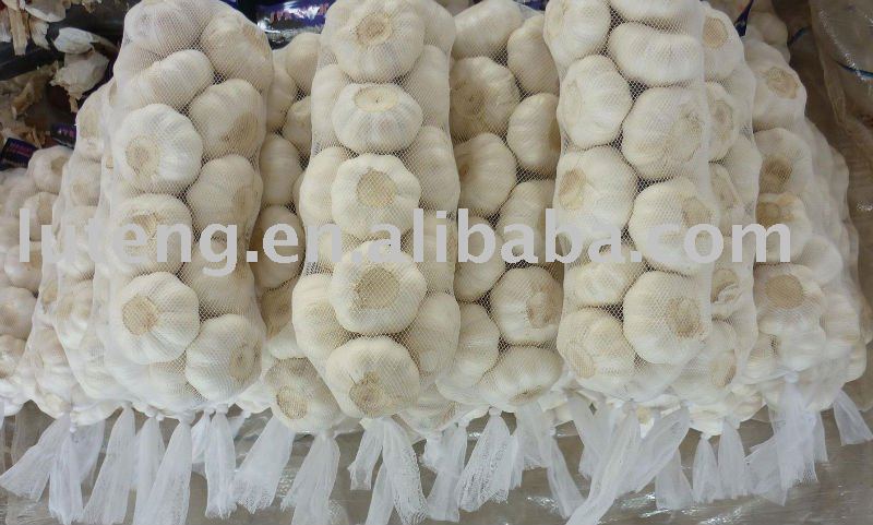 2010 Pure white  garlic ( 1kg bag packing )