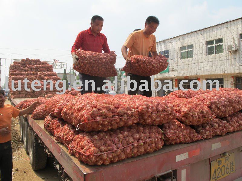 Crop  2010   Fresh   Garlic 