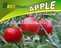 Apple Pectin