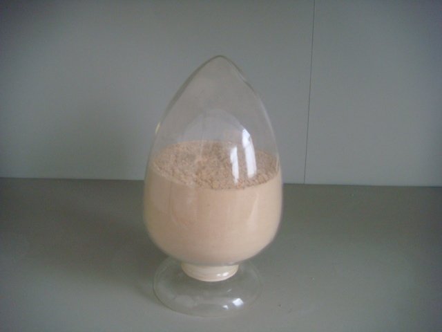chitosan oligosaccharide 20100704a