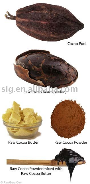 Refined   Cocoa  Butter