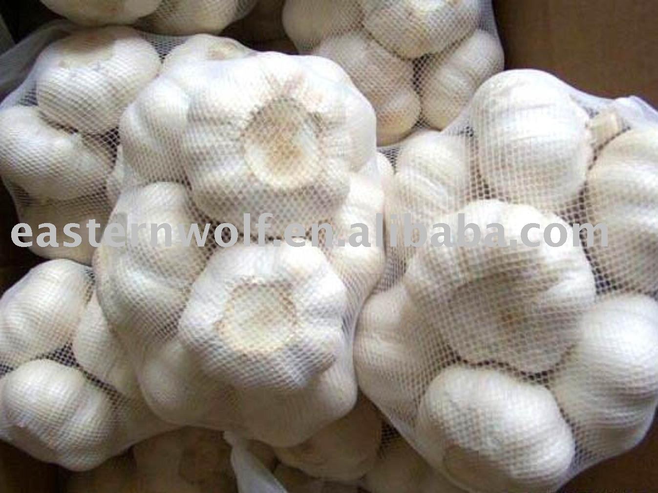 variety of Chinese fresh  garlic 