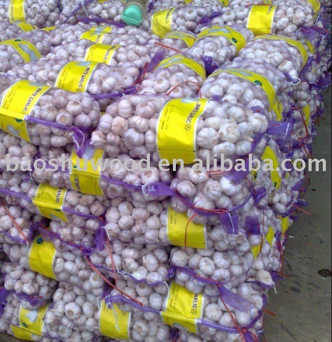 Xuzhou Qingshan Garlic (supply Pizhou  garlic)