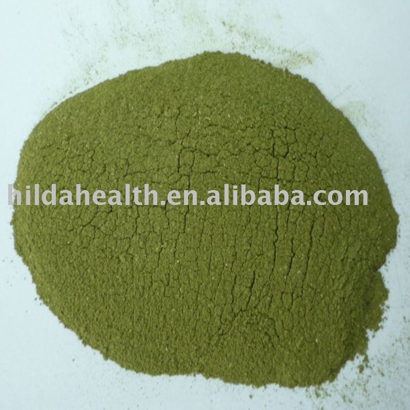  Stevia   Leaf   Powder 
